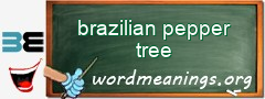 WordMeaning blackboard for brazilian pepper tree